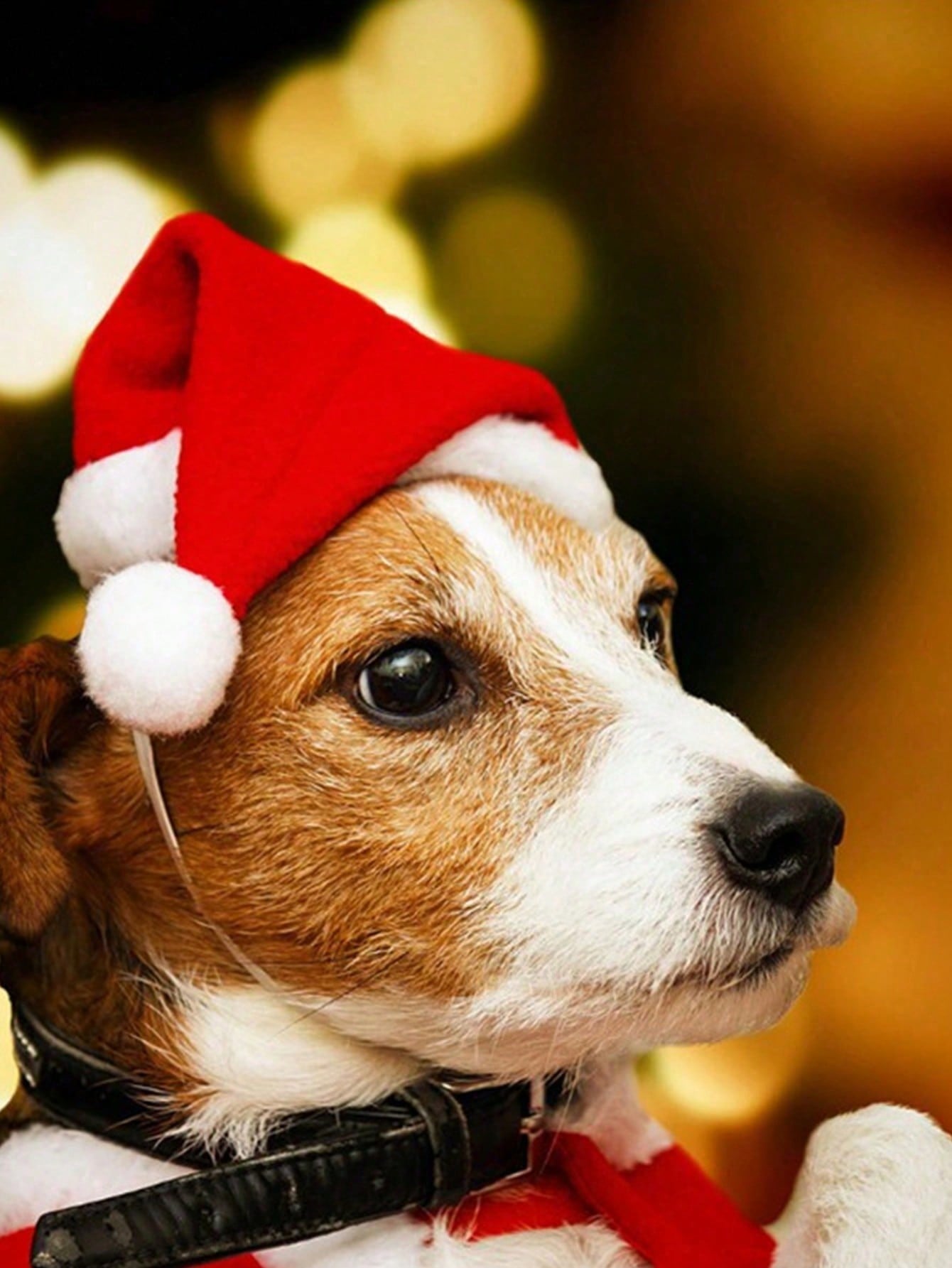 Plush Santa Hat for Dog Cat, S - Santa Hat Plush recensie en prijs