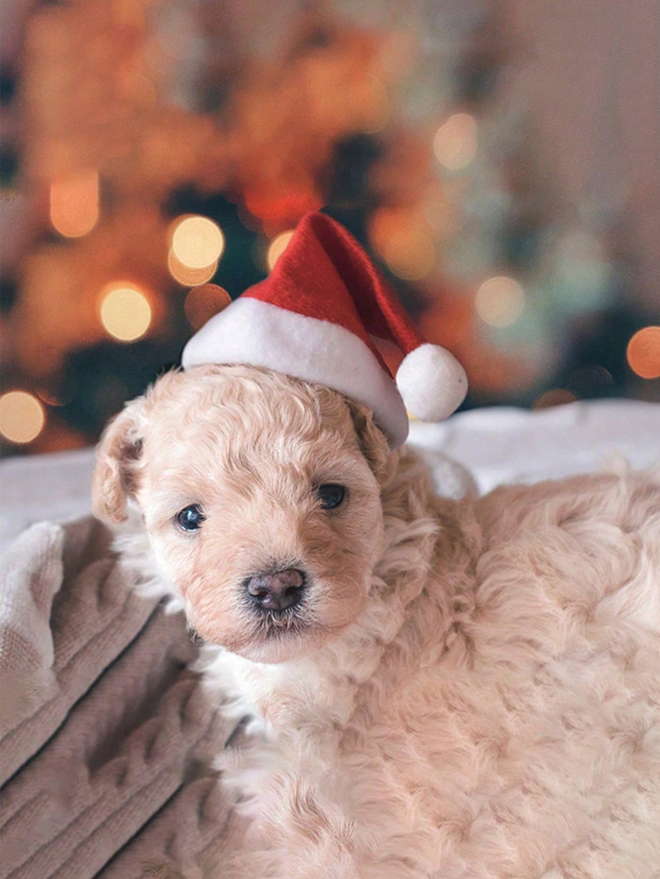Plush Santa Hat for Dog Cat, S - Santa Hat Plush recensie en prijs