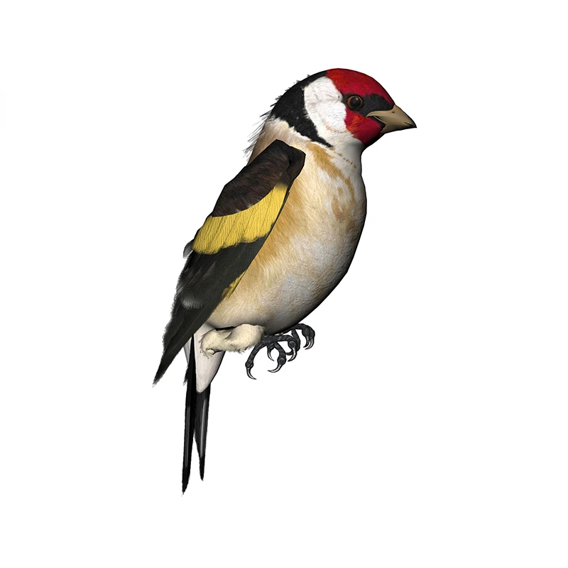 New Design for Tinsel Finches  - Tinsel Garland Decoration recensie en prijs
